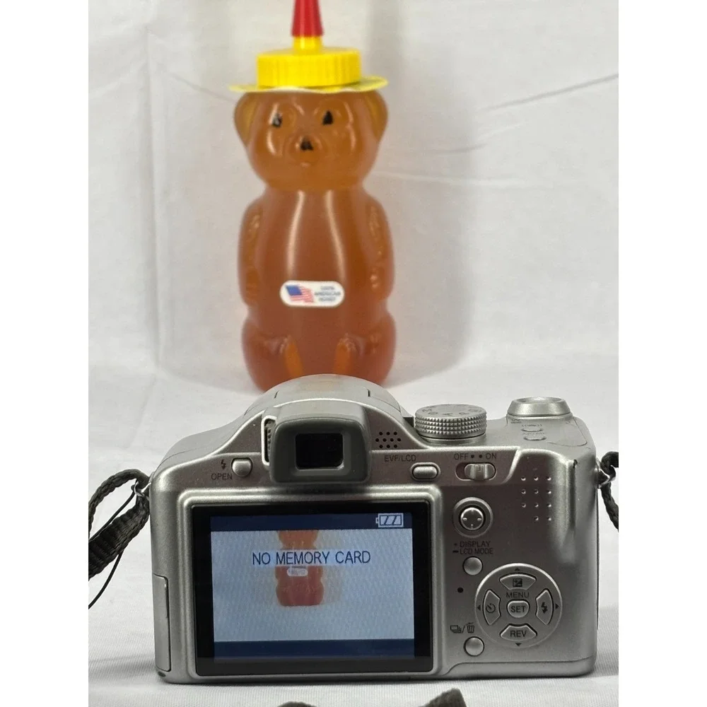 Panasonic lumix digital